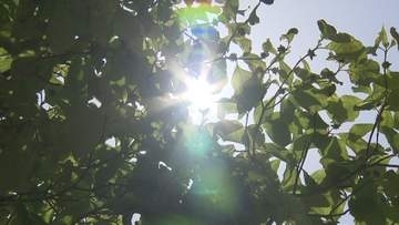 三重で真夏日続く　伊賀32.6℃など今年最高更新