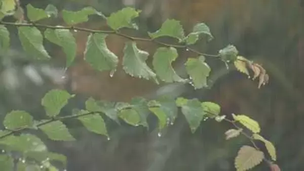 三重県で線状降水帯発生の可能性　28日明け方から昼前にかけ大雨災害に警戒