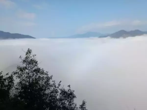 山間の千枚田覆う雲海　三重・熊野市