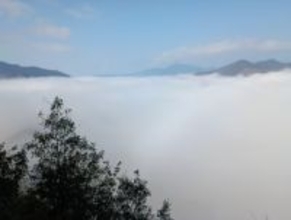 山間の千枚田覆う雲海　三重・熊野市