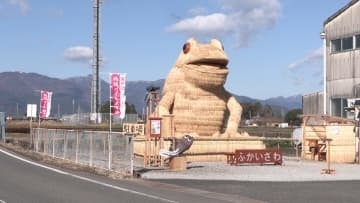 5メートル超の巨大カエル　稲わら使ったアート展示