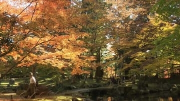 水面に映る赤や黄色　北畠氏館跡庭園で紅葉見ごろ　三重・津市