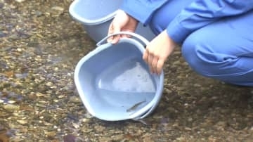 天皇皇后両陛下からお手渡しされたアマゴ稚魚を放流