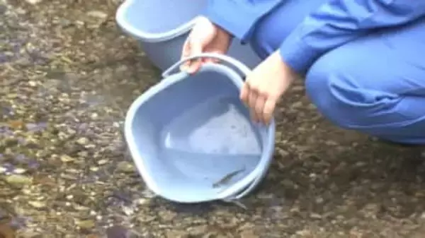 天皇皇后両陛下からお手渡しされたアマゴ稚魚を放流