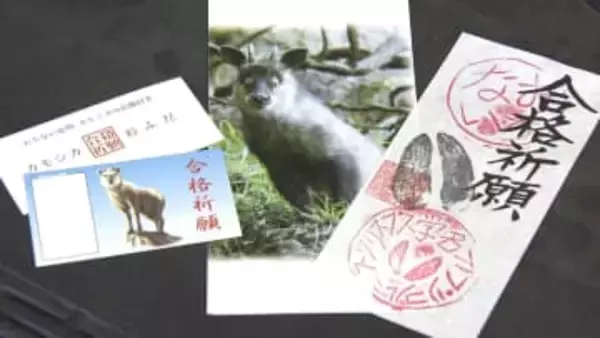 「落ちない」合格祈願グッズが人気