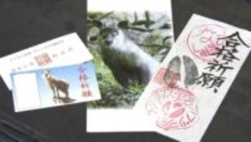 「落ちない」合格祈願グッズが人気