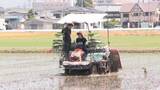 「三重のおいしい米を届けたい　鈴鹿でブランド米「結びの神」田植え」の画像1