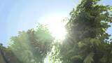「急な暑さに注意　県内で真夏日を観測」の画像1