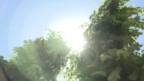 急な暑さに注意　県内で真夏日を観測