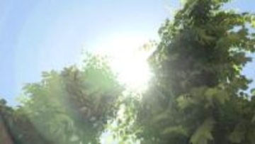 急な暑さに注意　県内で真夏日を観測