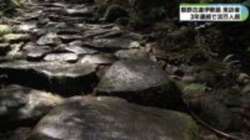 熊野古道伊勢路 来訪者約34万人　夏の猛暑やクマ出没影響