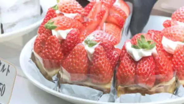 春限定商品に行列　和洋菓子14店が集結する「スイーつフェスタ」