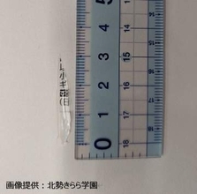 学校給食「なめこ汁」にビニール片混入