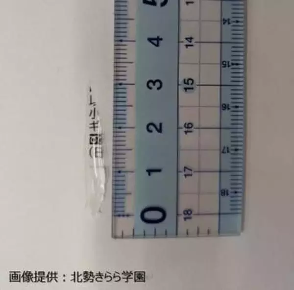 学校給食「なめこ汁」にビニール片混入
