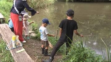 ザリガニ釣り大会　外来種駆除目的に