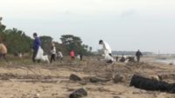 「ゴミがこんなにたくさん」　ウミガメの産卵場所を守る海岸清掃