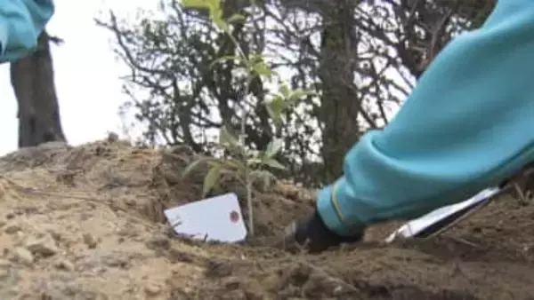 「素敵な思い出に」　卒業控えた生徒が植樹　三重・四日市市