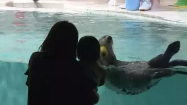 天候に左右されず人気　鳥羽水族館