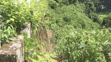 伊賀市の母娘遺体遺棄事件　身元不明だった1人は20歳の娘と判明