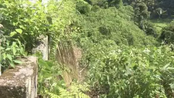 伊賀市の母娘遺体遺棄事件　身元不明だった1人は20歳の娘と判明