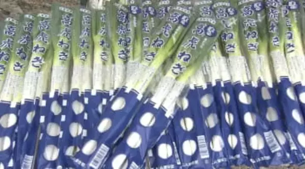 「がっしりとした長い甘いねぎが」　ブランド野菜「高虎ねぎ」を奉納
