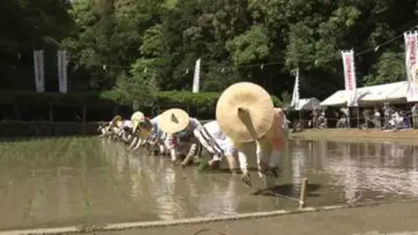 今年は「大黒」が勝利　猿田彦神社で御田祭　団扇角力で豊作占う