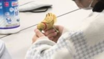 「触って想像する時間を大切に」　多様性への理解深めるワークショップ