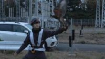 鷹で鳥害対策　変電設備を守る取り組み　三重・松阪市
