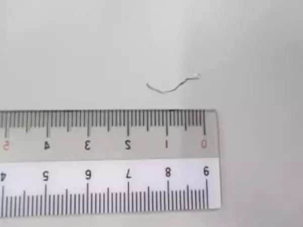 給食に1.5センチの金属片　小学校で異物混入