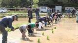 「小学生を対象に田植え体験　食の大切さや農業への理解を深める」の画像1