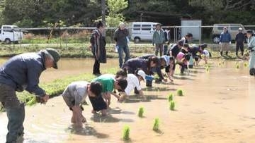 小学生を対象に田植え体験　食の大切さや農業への理解を深める