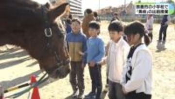 「高い所は怖かったけど楽しかった」　児童が馬術を体験