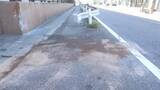 「信号無視でパトカーの追跡受けた乗用車が学校の塀に衝突　38歳男性が重傷」の画像1