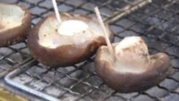 菌打ち体験も　原木しいたけフェア