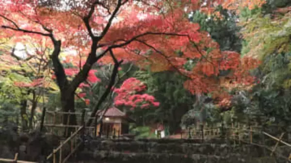 古刹・聖宝寺で紅葉が見頃　鏡池に映る色鮮やかな秋景色　三重・いなべ市
