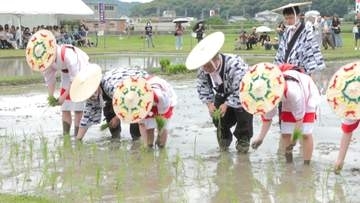 日本三大御田植祭の一つ「御田植祭」　伊雑宮で五穀豊穣願う