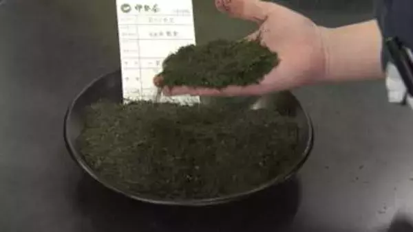 伊勢茶が高騰　初取引で最高値　三重・鈴鹿市