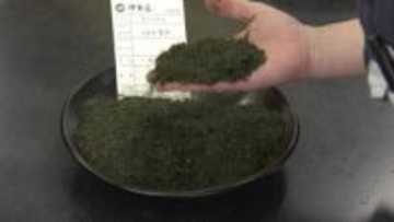 伊勢茶が高騰　初取引で最高値　三重・鈴鹿市