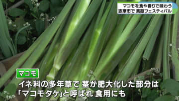 香りに包まれてマッサージなど　真菰フェスティバル