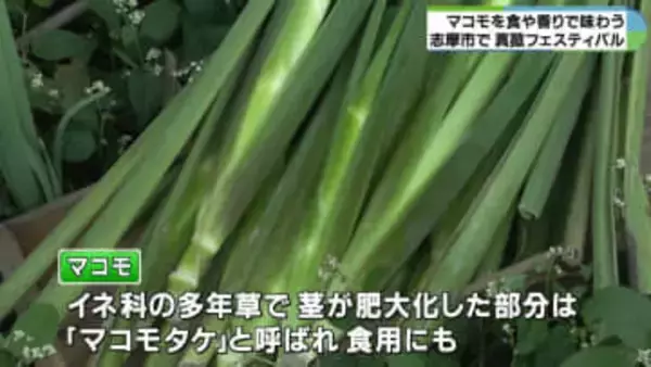 香りに包まれてマッサージなど　真菰フェスティバル