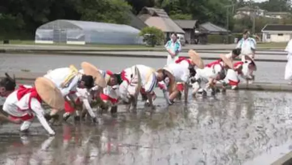 笛や太鼓に合わせて苗を手植え　室町時代から続く「神田御田植初」