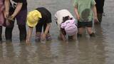 「園児が田植え体験　菰野町で食の大切さ学ぶ」の画像1