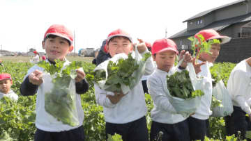 「一週間なばな生活に」　子どもたちが収穫体験