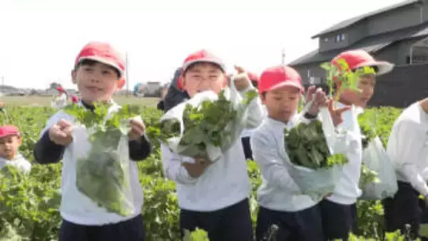 「一週間なばな生活に」　子どもたちが収穫体験