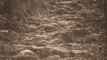 世界遺産・熊野古道の石畳をモノクロ写真で紹介　熊野古道センターで写真展