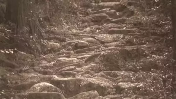 世界遺産・熊野古道の石畳をモノクロ写真で紹介　熊野古道センターで写真展
