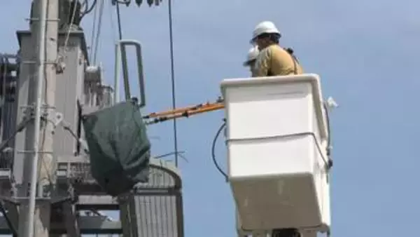 カラスの巣が原因とみられる停電が20件　中部電力PGが撤去作業