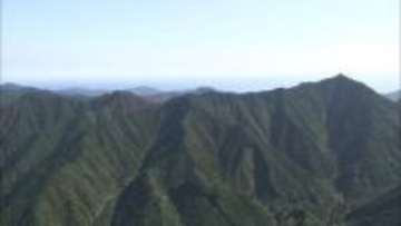 三重県内でクマ目撃相次ぐ　今年15件確認