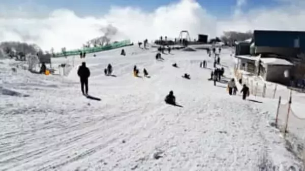 「スピードが出て爽快」スキー場そりゲレンデオープン