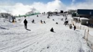 「スピードが出て爽快」スキー場そりゲレンデオープン